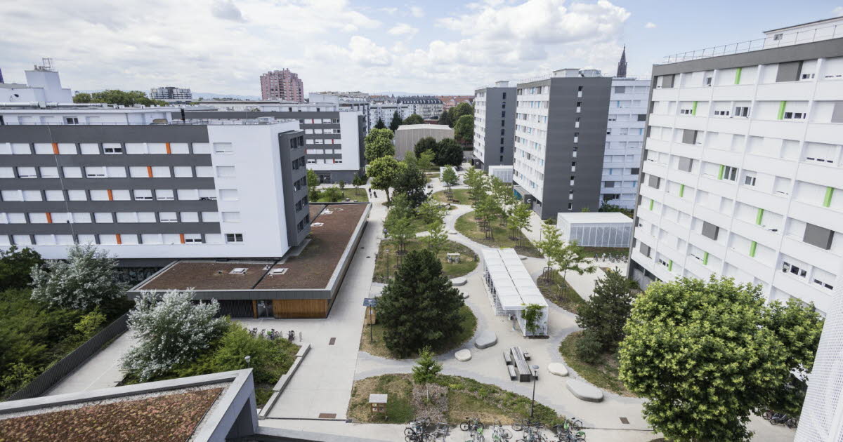 Alsace. Comment décrocher un logement dans une résidence universitaire à Strasbourg et Mulhouse