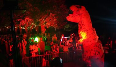 Jarville-la-Malgrange. Festiv’Eté, une scène, deux ambiances pour la Fête Nationale