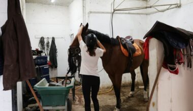 comment le Centre hippique des Alpes œuvre pour limiter le risque de propagation