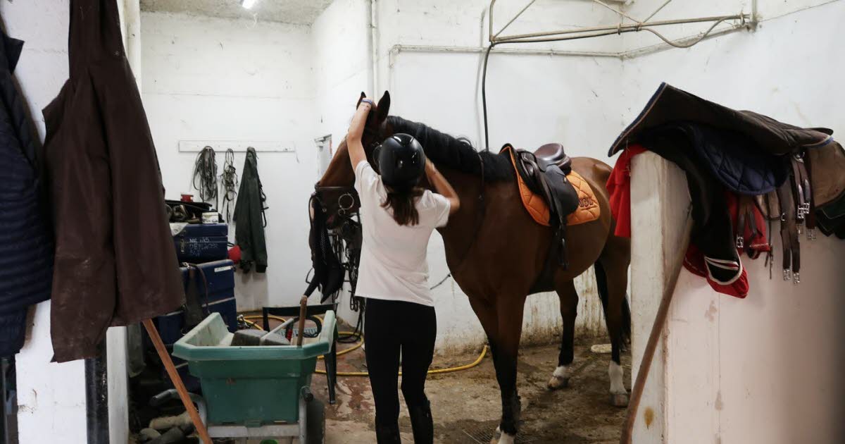 comment le Centre hippique des Alpes œuvre pour limiter le risque de propagation