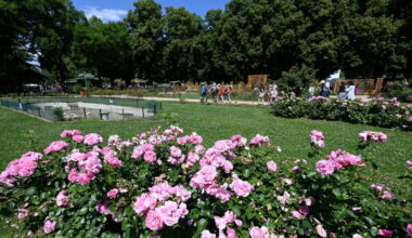 Photos . Balade dans les parcs de Nancy : la Pépinière