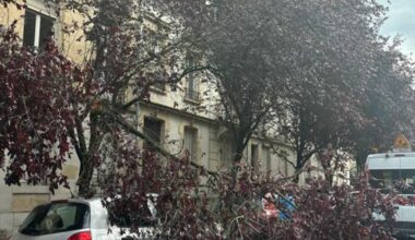 chute d’arbres, rues et circulation coupées