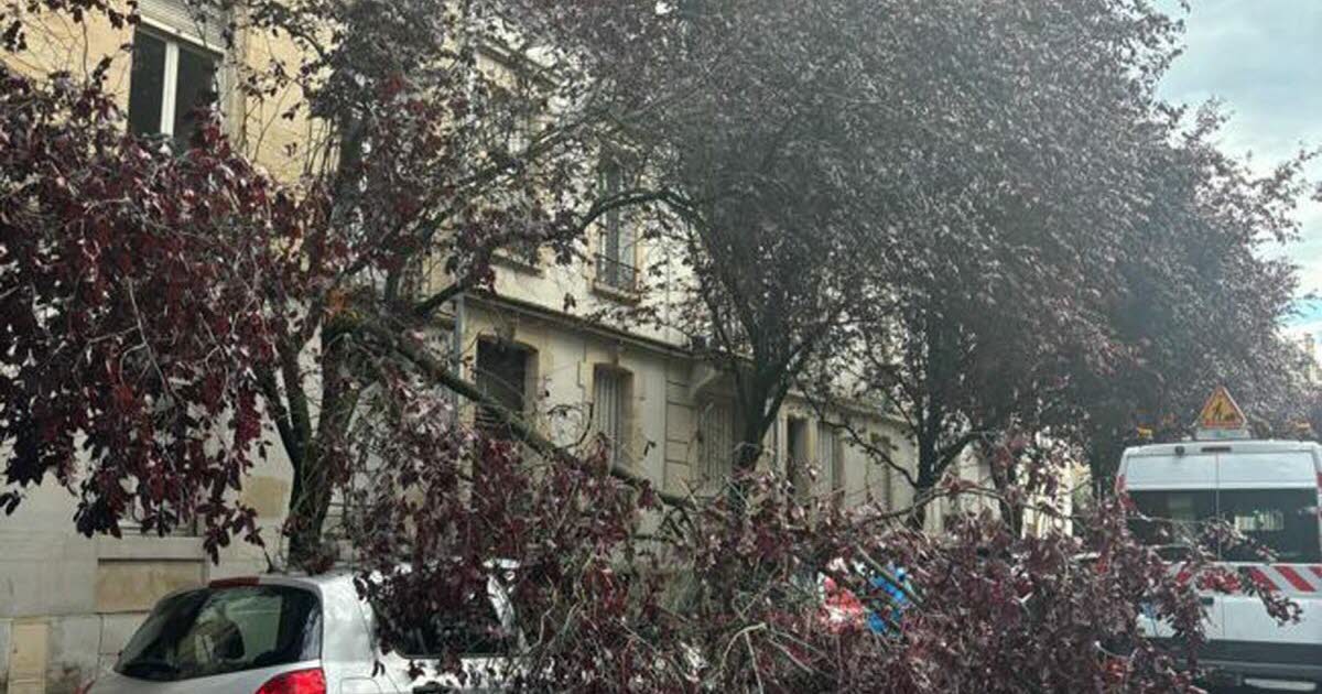 chute d’arbres, rues et circulation coupées