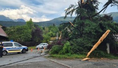 Isère. Une rafale brise un cèdre en deux à Saint-Martin-d’Uriage