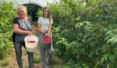 des clients aux producteurs, tout le monde y gagne