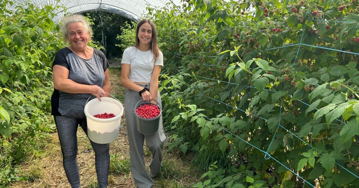 des clients aux producteurs, tout le monde y gagne
