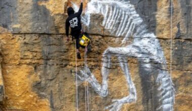 Échenoz-la-Méline. L’artiste FOSR mondialement connu a réalisé une peinture éphémère à Échenoz-la-Méline
