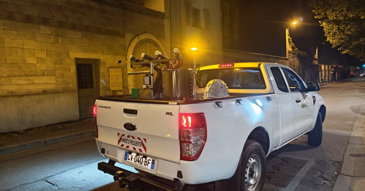 Loire. Un deuxième cas de dengue autochtone à Saint-Chamond