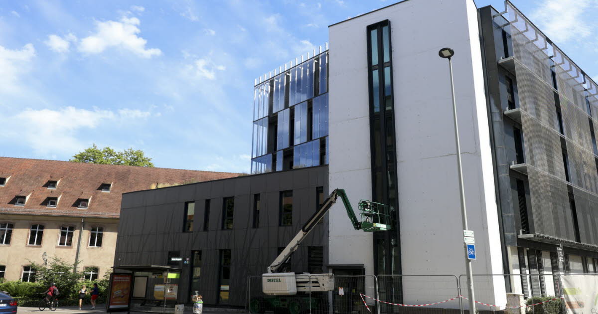 Strasbourg. L’INSP (ex-ENA) troque sa façade végétale contre des plantes grimpantes