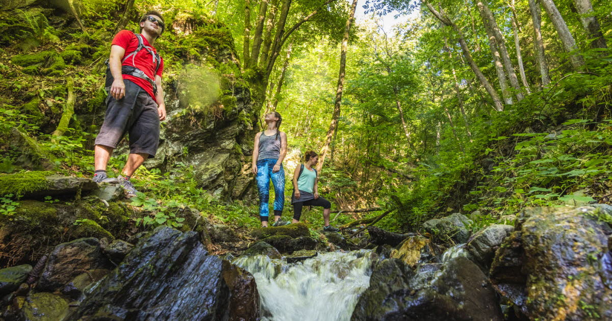les plus beaux itinéraires autour de Grenoble, entre montagnes et vallées