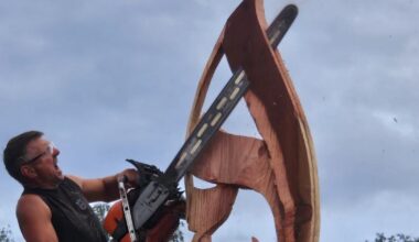 Photos. Plancher-Bas : Jacques Pissenem, le sculpteur d'arbres, présente une performance musicale sur la paix - L'Est Républicain