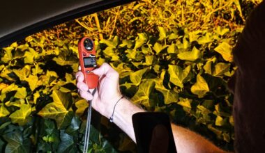 un cas autochtone de dengue signalé à Belley