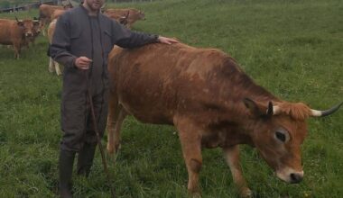 ces fermes où on peut acheter en direct. Laurent Freycenon, agriculteur, vend sa viande en direct de la ferme
