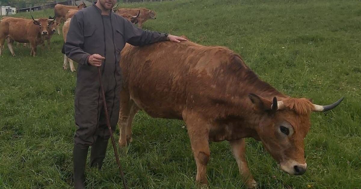 ces fermes où on peut acheter en direct. Laurent Freycenon, agriculteur, vend sa viande en direct de la ferme