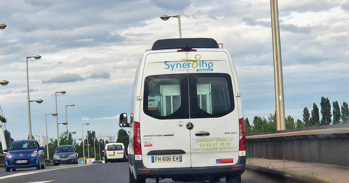 le groupe Ulysse prendra le relais de Synerghip, liquidée