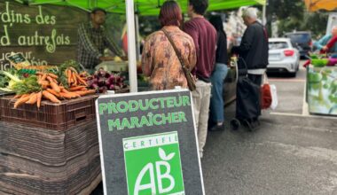 clients et forains du marché Albert-Thomas révoltés, ceux de Jacquard pas concernés