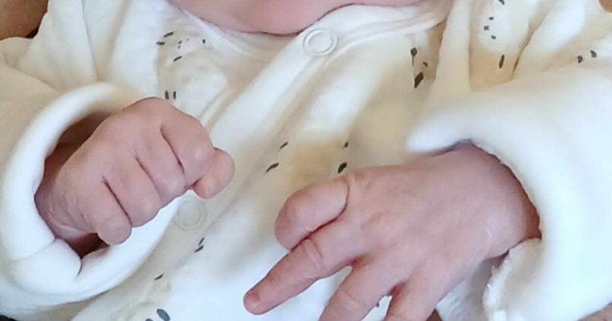 Grenoble | Naissance. Armel
