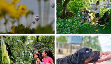 Photos. Labo abandonné, chien mourant, envol de ballons, ce sont les 10 images de la semaine en Meurthe-et-Moselle