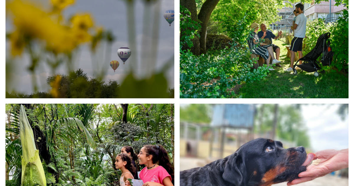 Photos. Labo abandonné, chien mourant, envol de ballons, ce sont les 10 images de la semaine en Meurthe-et-Moselle