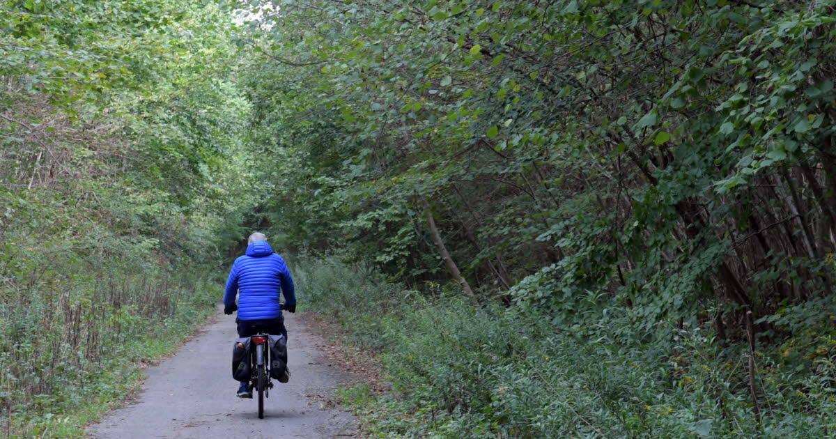 Courrier des lecteurs. Cyclistes vs promeneurs en forêt, place minérale du Château... c'est vous qui le dites