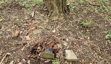 Nancy Une plaque en hommage au leader israélien Yitzhak Rabin vandalisée au parc de la Pépinière, la Ville dénonce un acte antisémite et dépose plainte