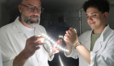 Sciences. Des chercheurs de Strasbourg testent la stimulation lumineuse contre la maladie d’Alzheimer