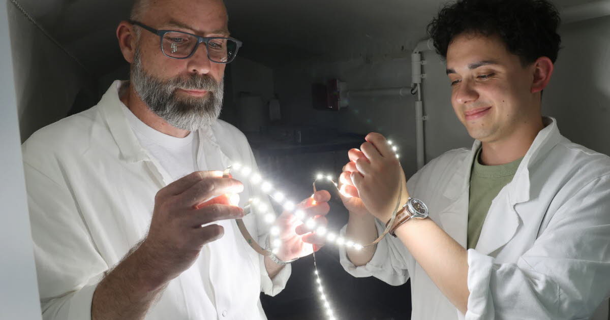 Sciences. Des chercheurs de Strasbourg testent la stimulation lumineuse contre la maladie d’Alzheimer