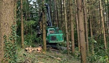 Perreux. Des visites en forêt permettent de découvrir les enjeux de la filière bois