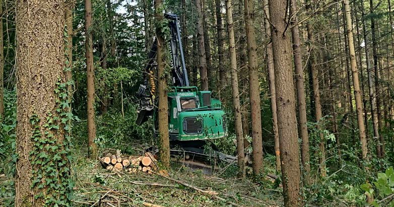Perreux. Des visites en forêt permettent de découvrir les enjeux de la filière bois