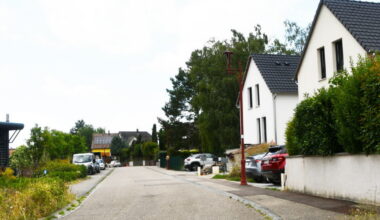 Strasbourg et Truchtersheim. Deux opérations de démoustication après la découverte d’un cas de Zika