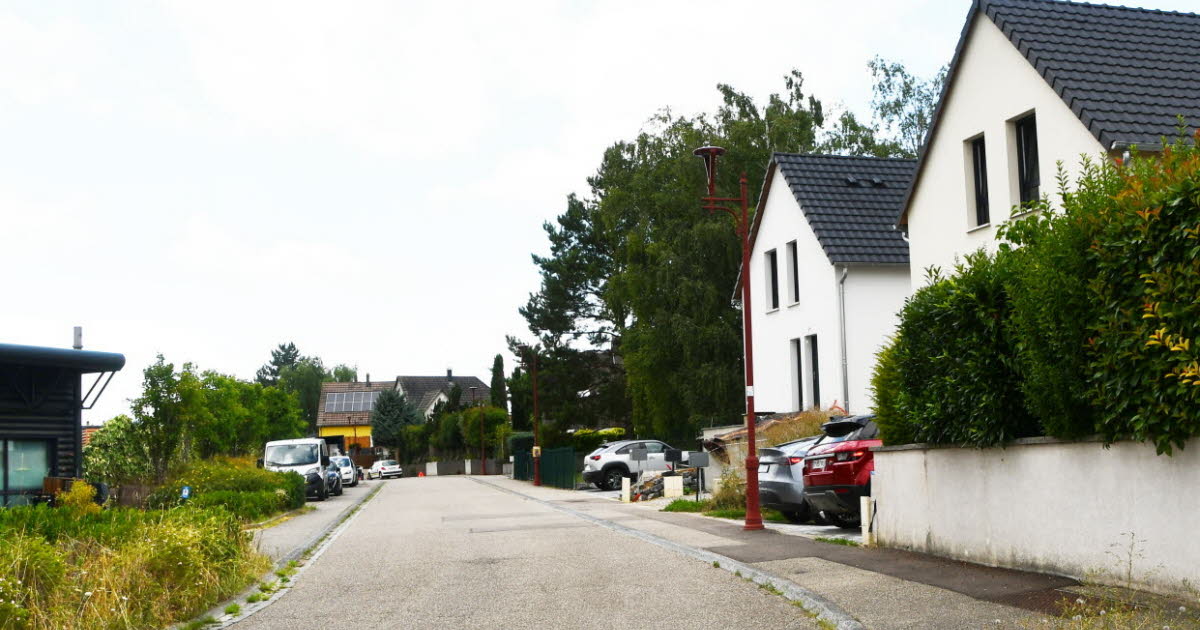 Strasbourg et Truchtersheim. Deux opérations de démoustication après la découverte d’un cas de Zika