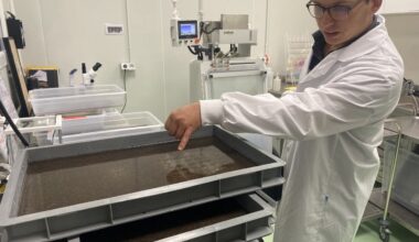 Depuis Montpellier, Terratis se pique de mener la lutte contre le moustique tigre