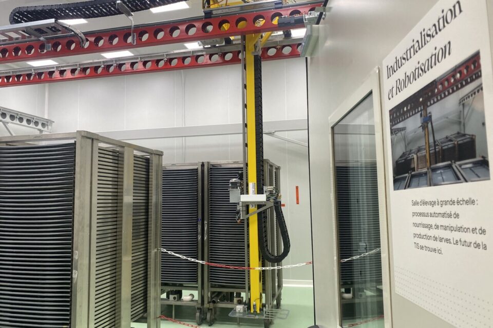 La ferme pilote est équipée d'un robot spécialement conçu pour assurer le développement de l'insecte de manière automatisée