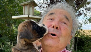 "J'aurais pu les écrire aujourd'hui" : Pierre Perret bluffé par des vidéos qui revisitent toute sa carrière