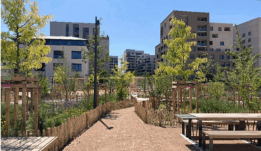 Lyon. C'est quoi cet "îlot de fraîcheur écologiquement exemplaire" créé dans ce quartier