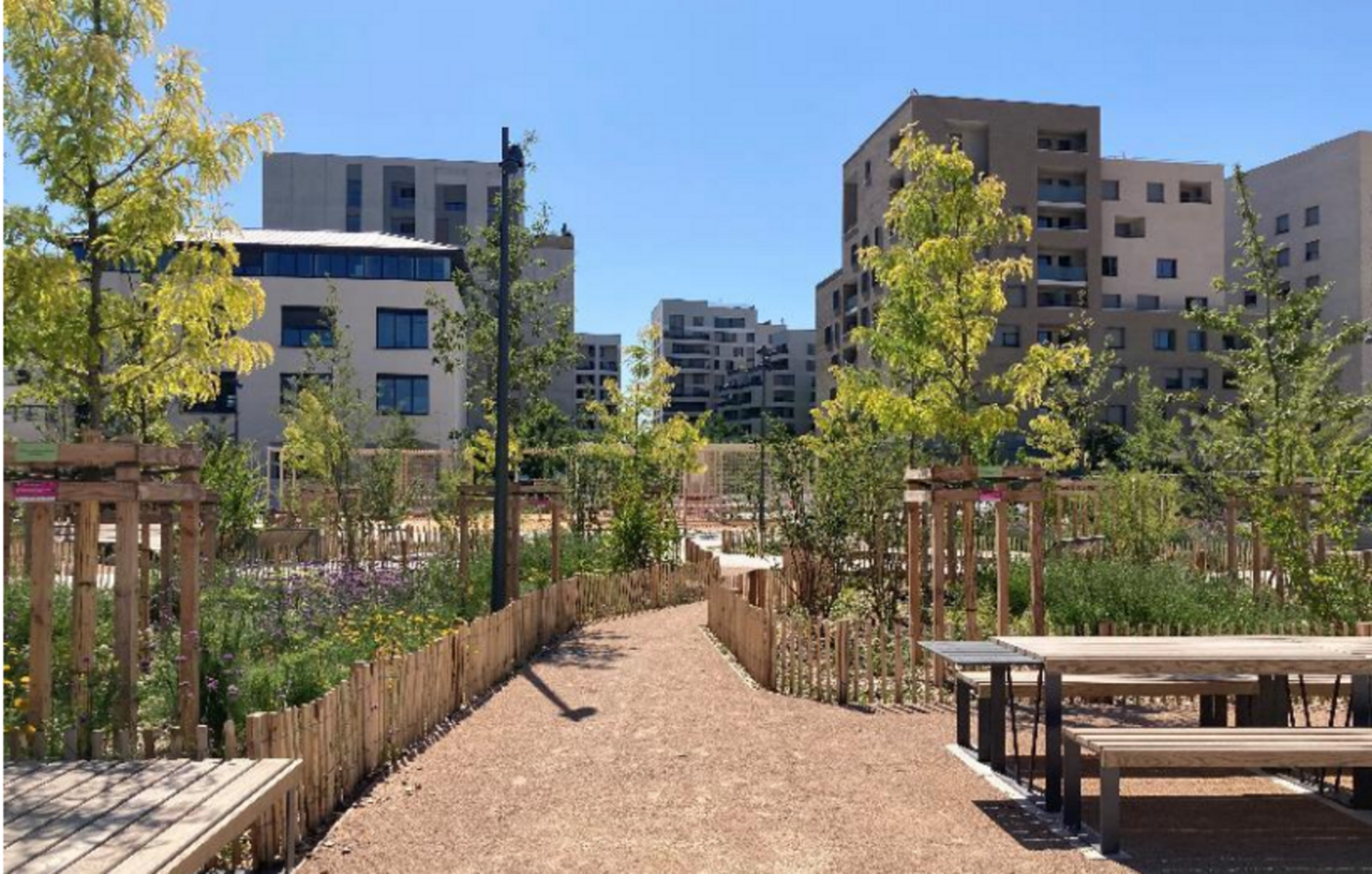 Lyon. C'est quoi cet "îlot de fraîcheur écologiquement exemplaire" créé dans ce quartier