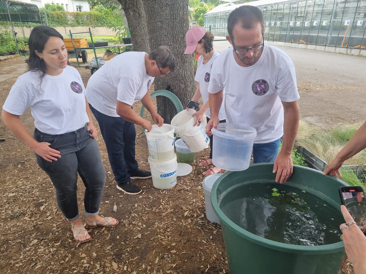 Contre les moustiques, Toulouse teste de nouveaux pièges avec des poissons : une première en France