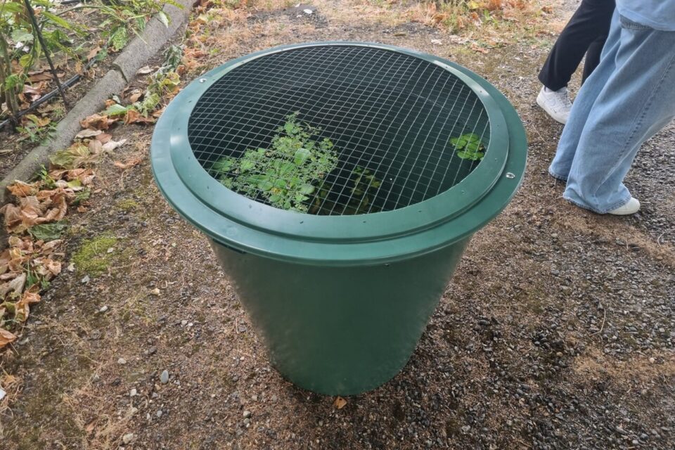 Au total, 46 vasques ont été installées à Toulouse.