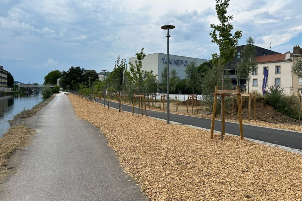 De nombreux arbres ont été plantés de chaque côté de la rue.
