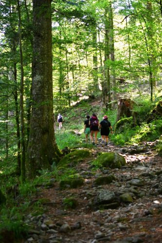 randonnée à la bresse  (1)