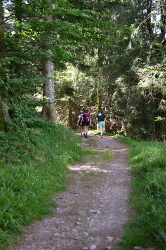 randonnée à la bresse  (3)