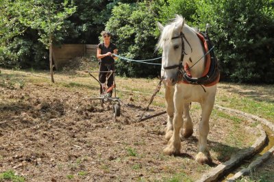 À La Valette-du-Var, les Rendez-vous aux Jardins ont illuminé la ville