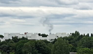 les pompiers déployés aux étangs d'Apigné pour un incendie