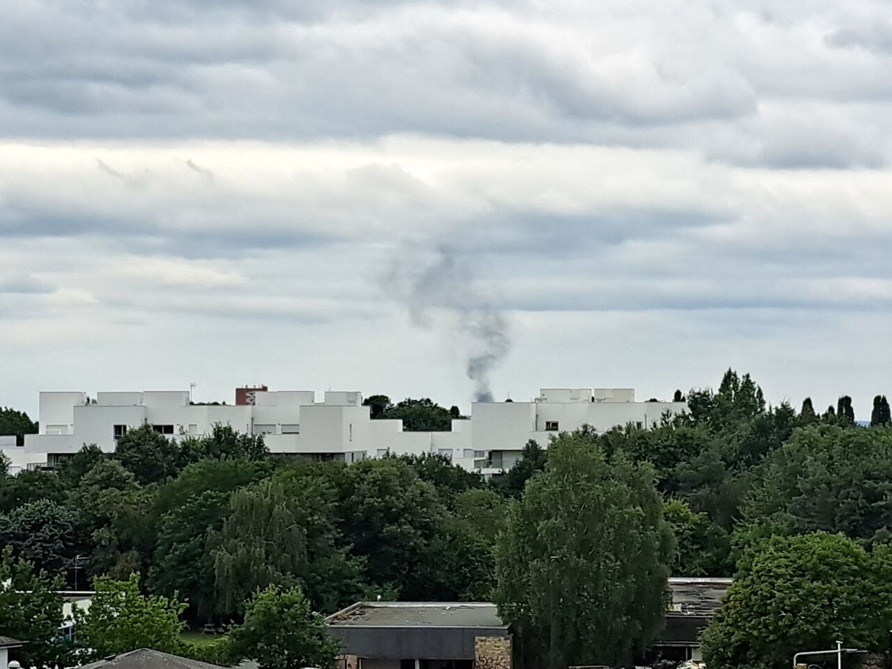 les pompiers déployés aux étangs d'Apigné pour un incendie