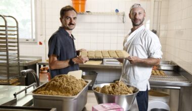 bAAM!, les barres athlétiques naturelles protéinées
