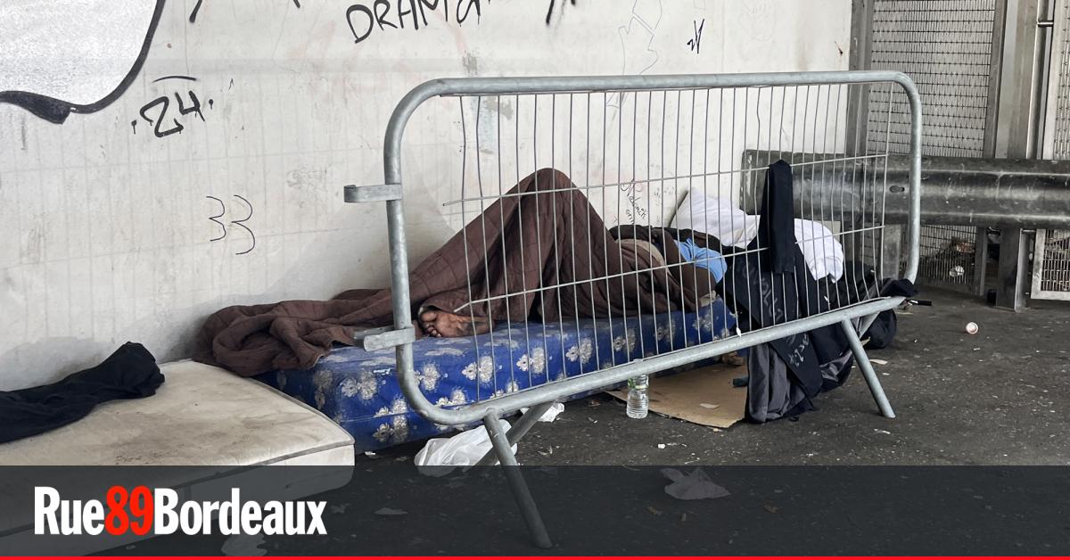 4e Nuit de la solidarité à Bordeaux : 31 années d’espérance de vie en moins pour les sans-abri