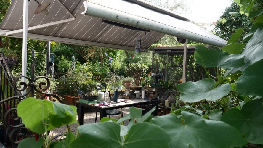 SOS Plantes-12