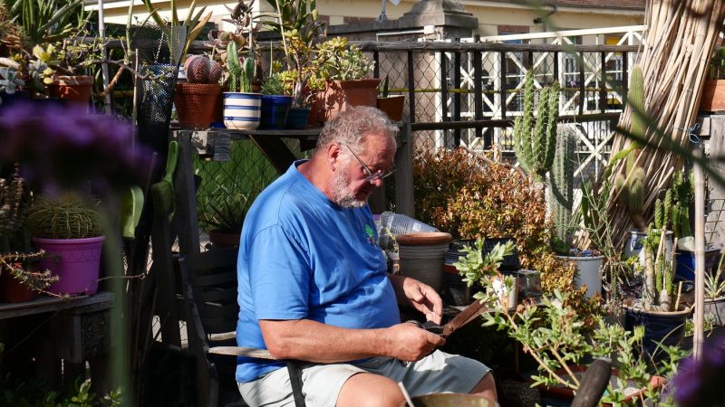 SOS Plantes-14