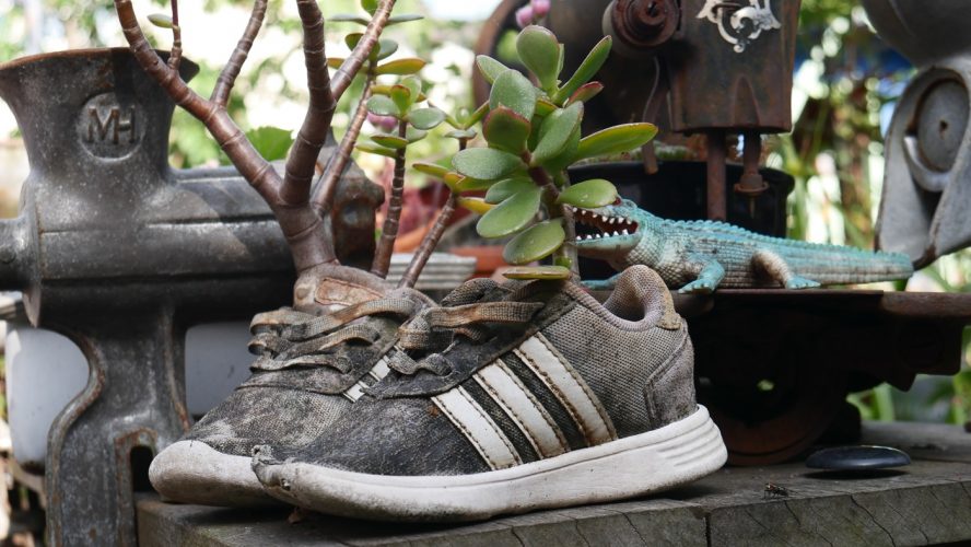 SOS Plantes-15