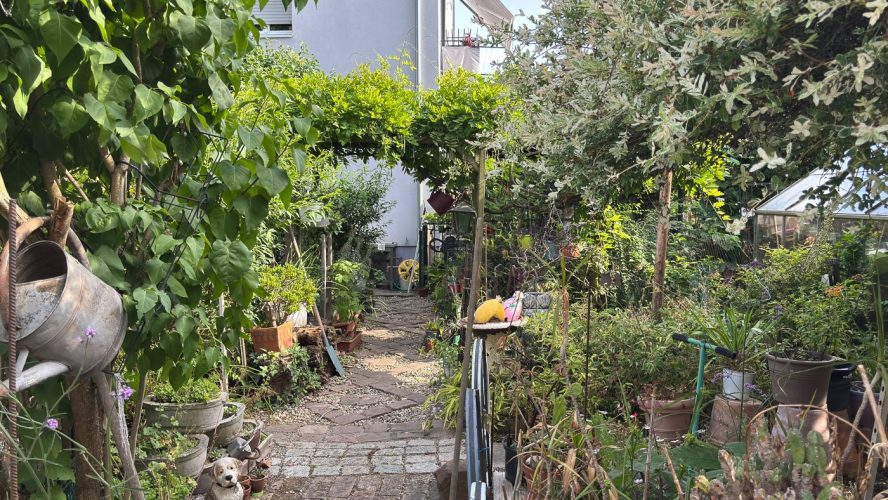 SOS Plantes-22